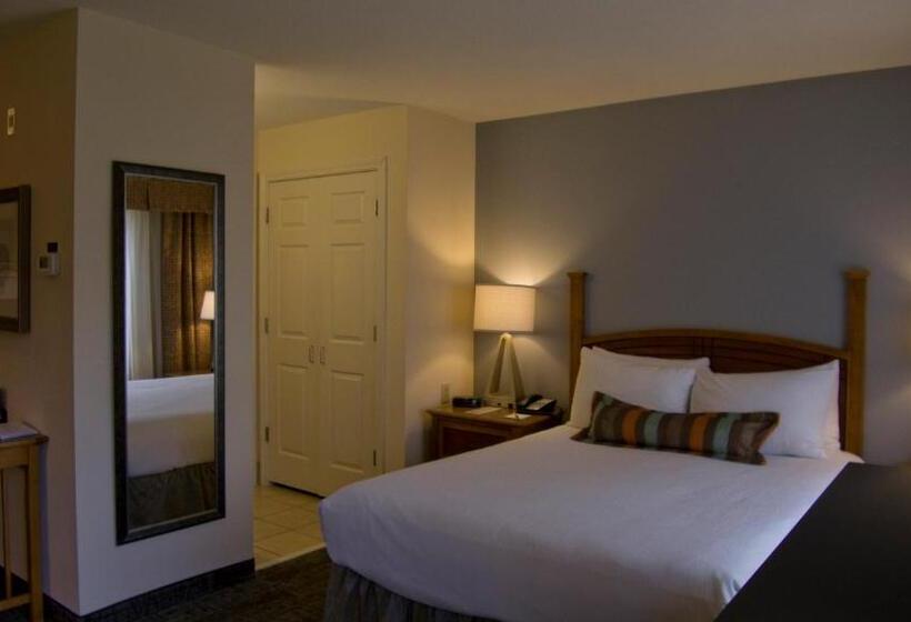 סטודיו סטנדרט מיטה זוגית, Staybridge Suites Houston West   Energy Corridor, An Ihg