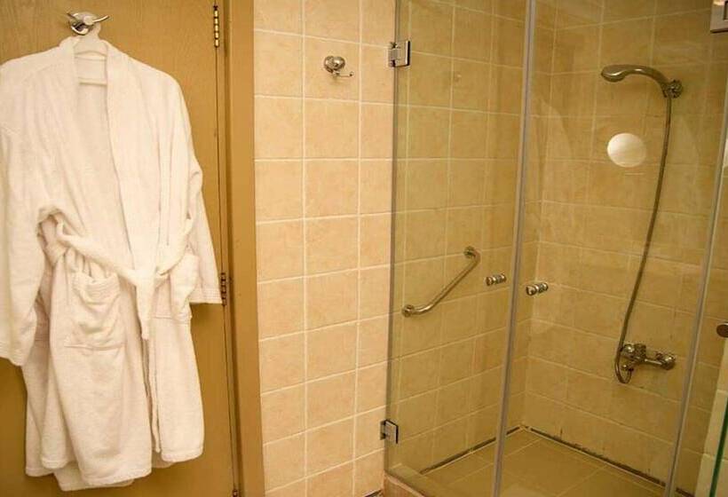 اتاق استاندارد با چشم‌انداز باغ, Tropitel Dahab Oasis