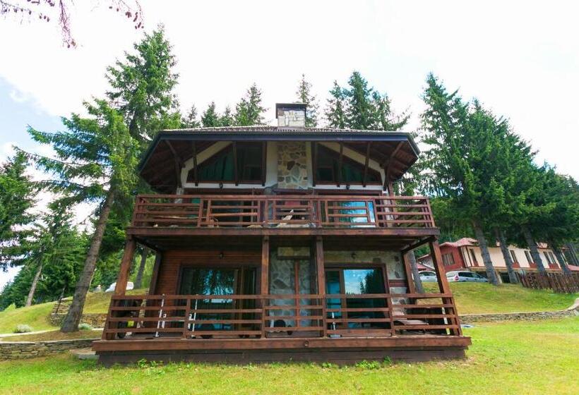 ویلای لوکس 1 خوابه, Romantica Forest Guest House