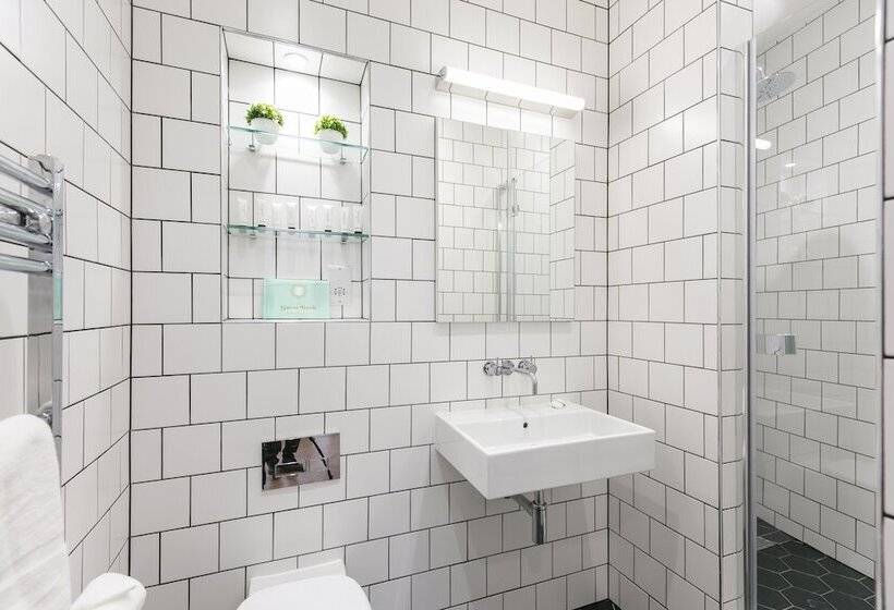 1 Bedroom Penthouse Apartment, Urban Chic  Shaftesbury