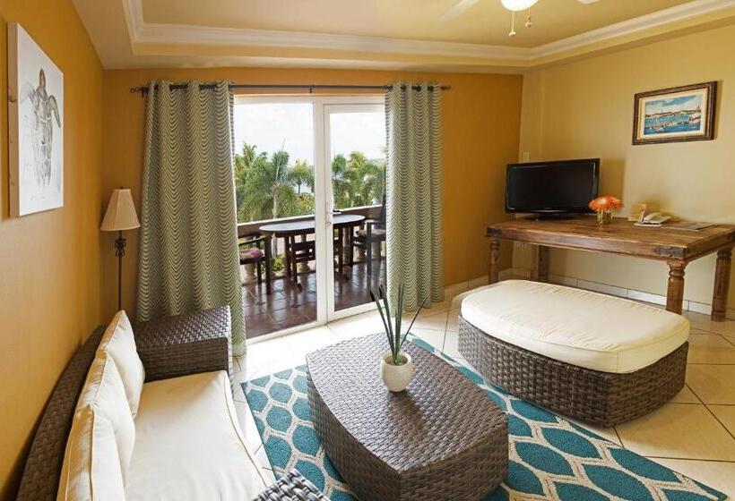 آپارتمان 1 خوابه با چشم‌انداز دریا, Aruba Surfside Marina