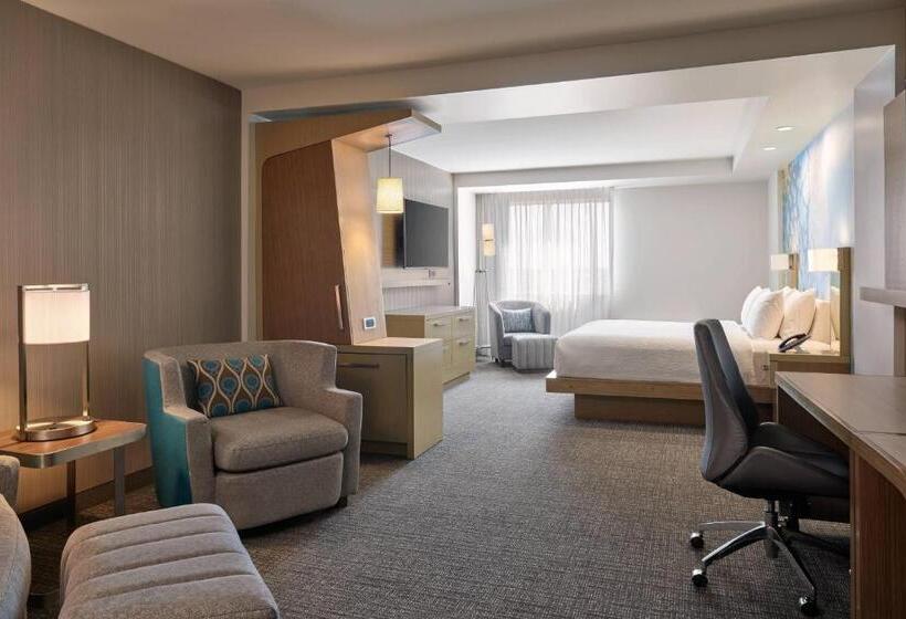 سوئیت با تخت بزرگ, Courtyard Denver Aurora