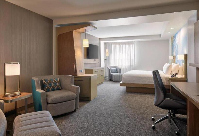 سوئیت با تخت بزرگ, Courtyard By Marriott Denver Aurora