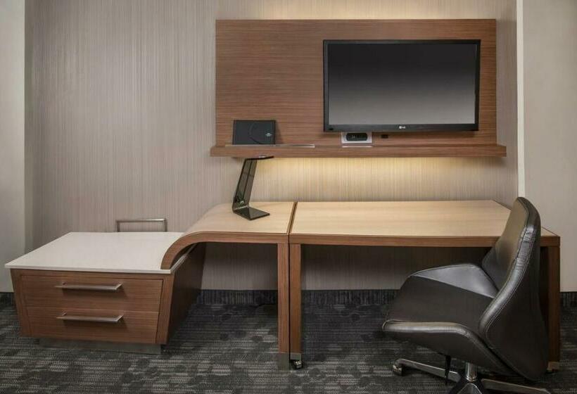 سوئیت با تخت بزرگ, Courtyard Denver Aurora