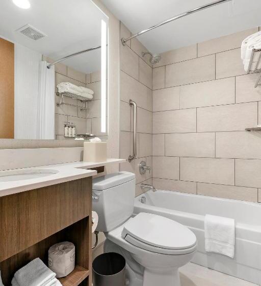 اتاق استاندارد با 2 تخت دوبل, Holiday Inn Manhattan 6th Ave   Chelsea, An Ihg