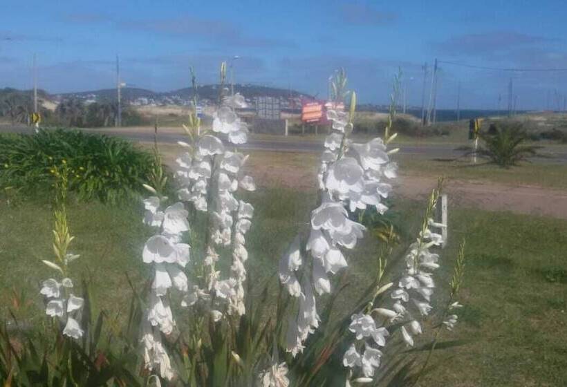 غرفة إقتصادية, Playa Grande