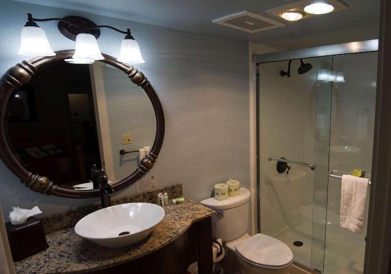 بنجلو قياسى, Pousada E Spa Bromelias