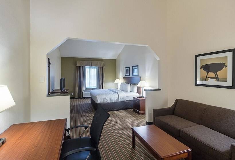 Suite Aangepast voor Gehandicapten, Quality Inn And Suites Westchase