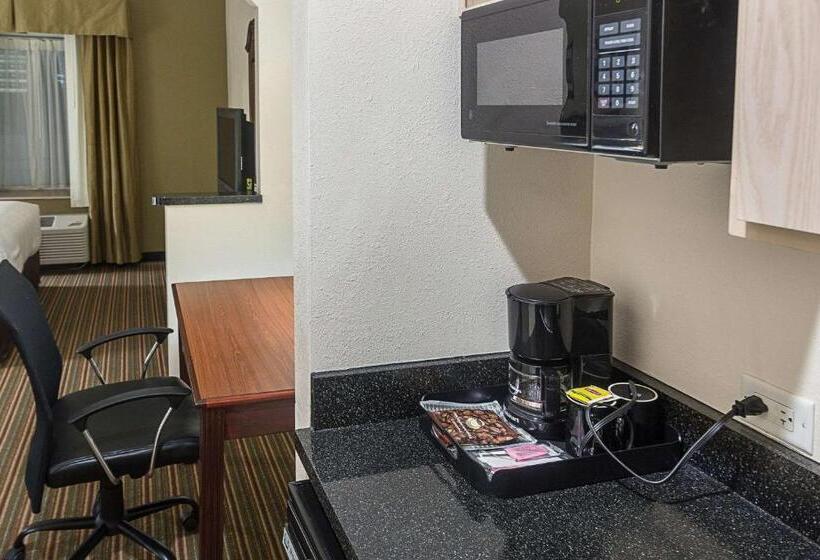 اتاق استاندارد با تخت بزرگ, Quality Inn & Suites West Chase
