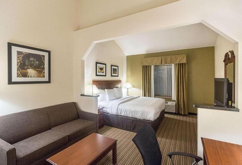 اتاق استاندارد با تخت بزرگ, Quality Inn & Suites West Chase