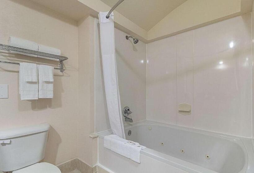 اتاق استاندارد با تخت بزرگ, Quality Inn & Suites West Chase