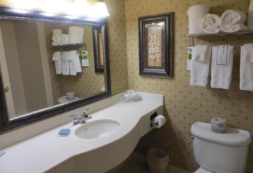 اتاق استاندارد با تخت بزرگ, Wingate By Wyndham