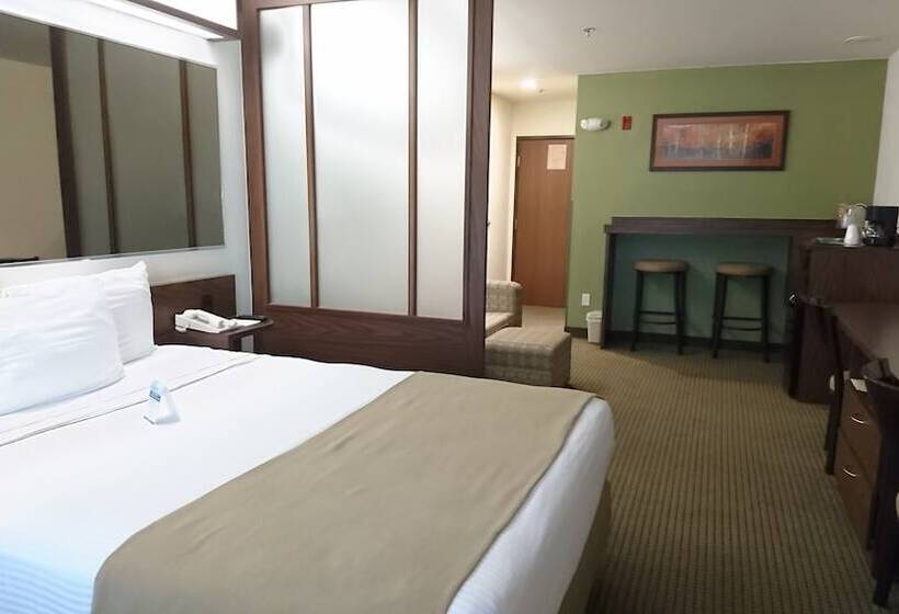 سوییت, Microtel Inn And Suites By Wyndham Ciudad Juarez, Us Consulate