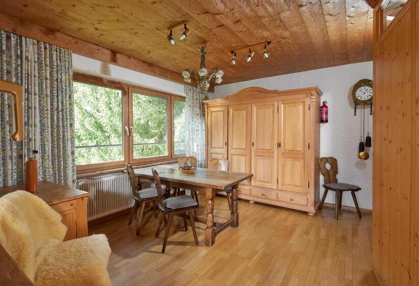 1 Bedroom Apartment Mountain View, Alt Montafon Hotel Appartements By Pferd Auf Wolke