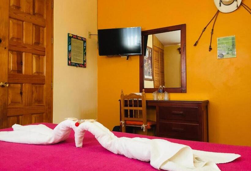 سوئیت کلاسیک, Cazomalli Oaxaca