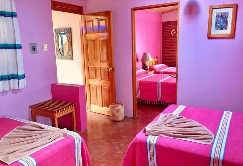 سوییت سوپریور, Cazomalli Oaxaca