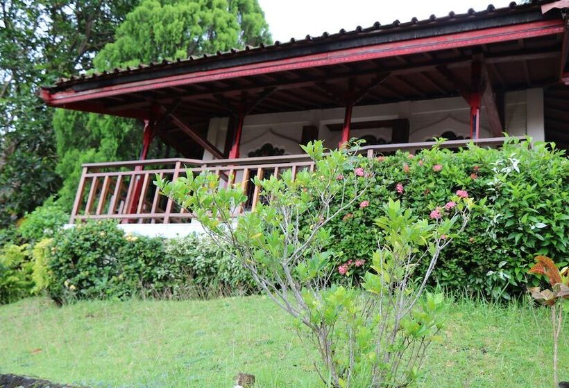 سوییت, Puri Bunga Beach Cottages