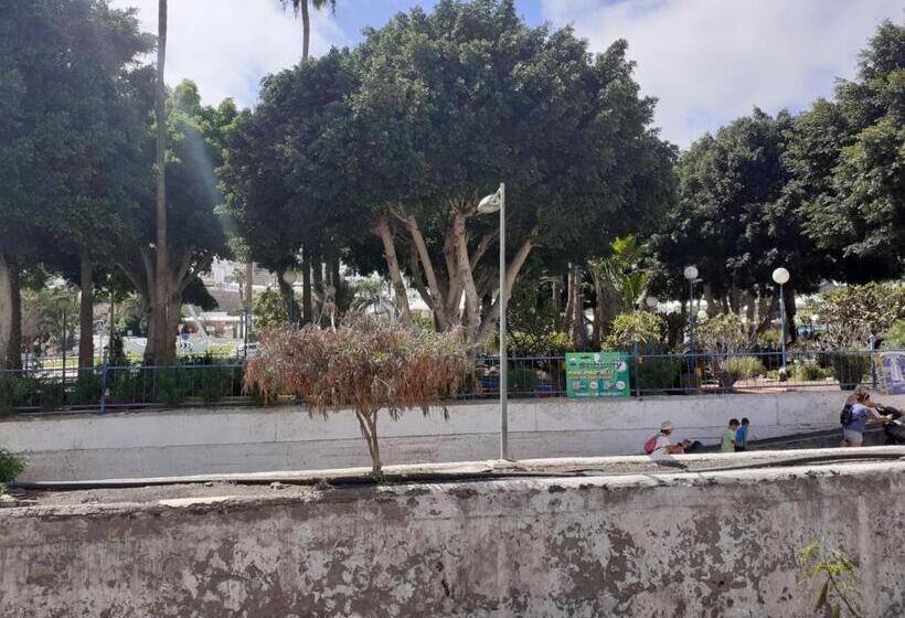 آپارتمان 1 خوابه, Niza Apartamentos