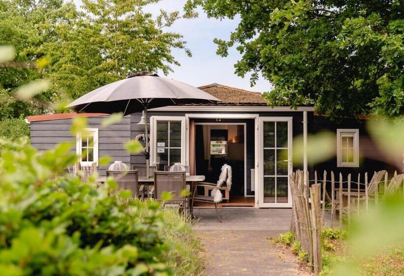 带3个卧室的公寓, Reggechalet 6 Persons Adjusted
