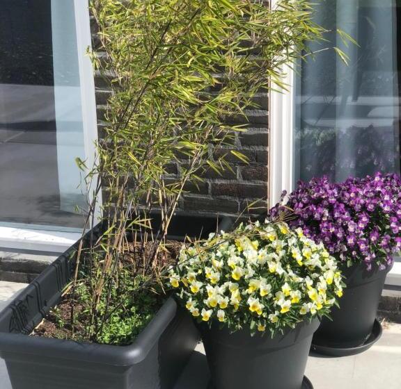 اتاق لوکس با تخت بزرگ, Bnb Purmerland