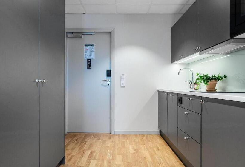 استودیوی استاندارد, Biz Apartment Bromma