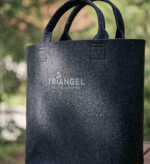 اتاق سوپریور, Triangel Boutique