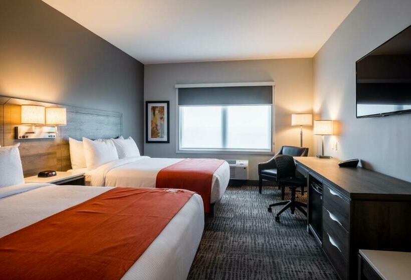 اتاق استاندارد, Amsterdam Inn & Suites Florenceville