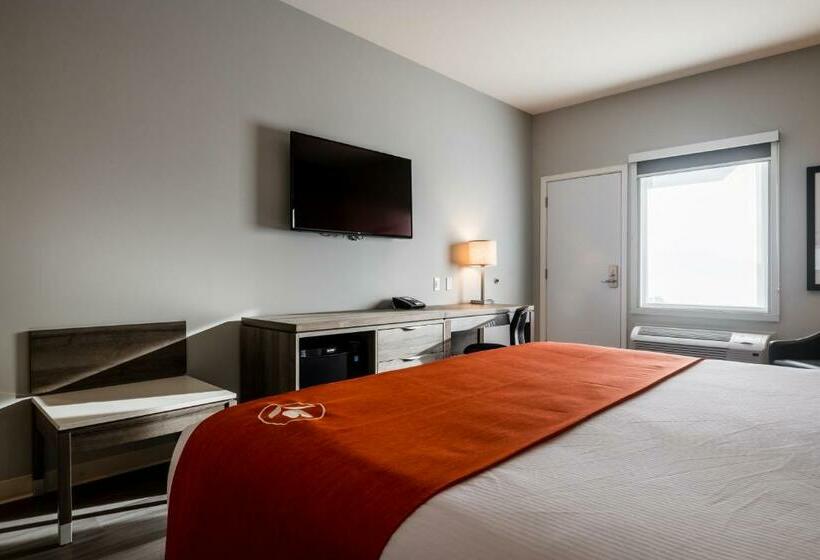 اتاق استاندارد با تخت بزرگ, Amsterdam Inn & Suites Florenceville