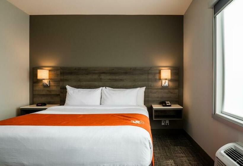 سوییت, Amsterdam Inn & Suites Florenceville