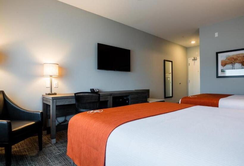 اتاق استاندارد, Amsterdam Inn & Suites Florenceville