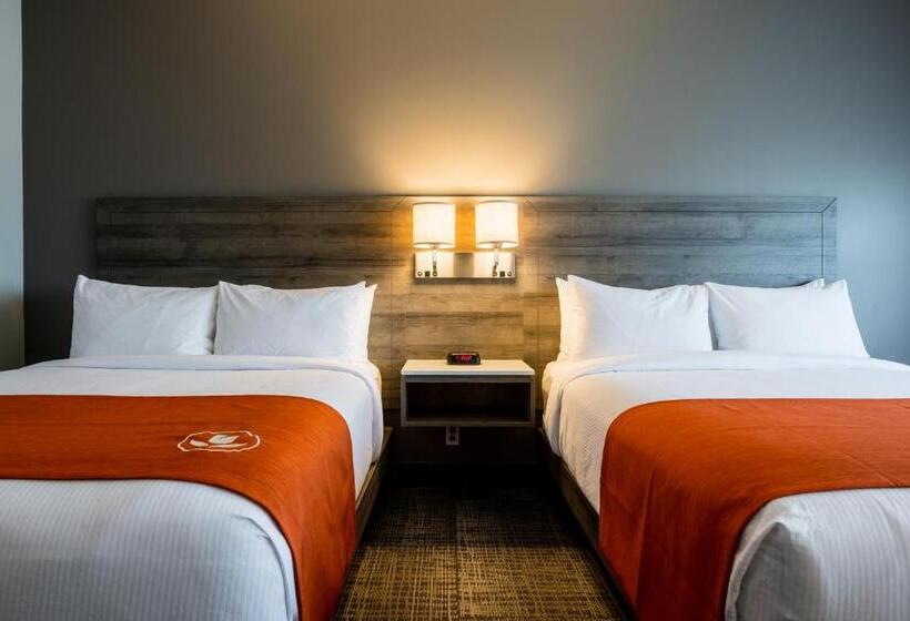 اتاق استاندارد, Amsterdam Inn & Suites Florenceville