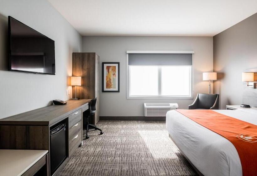 اتاق استاندارد با تخت بزرگ برای معلولان, Amsterdam Inn & Suites Florenceville