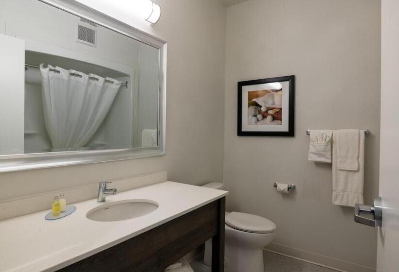 اتاق استاندارد با تخت بزرگ برای معلولان, Amsterdam Inn & Suites Florenceville