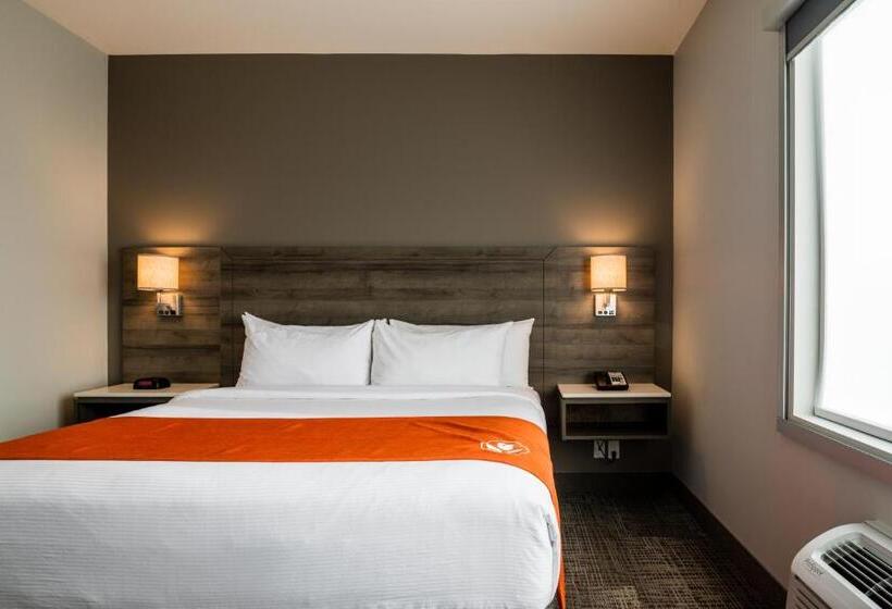 سوییت اجرایی, Amsterdam Inn & Suites Florenceville