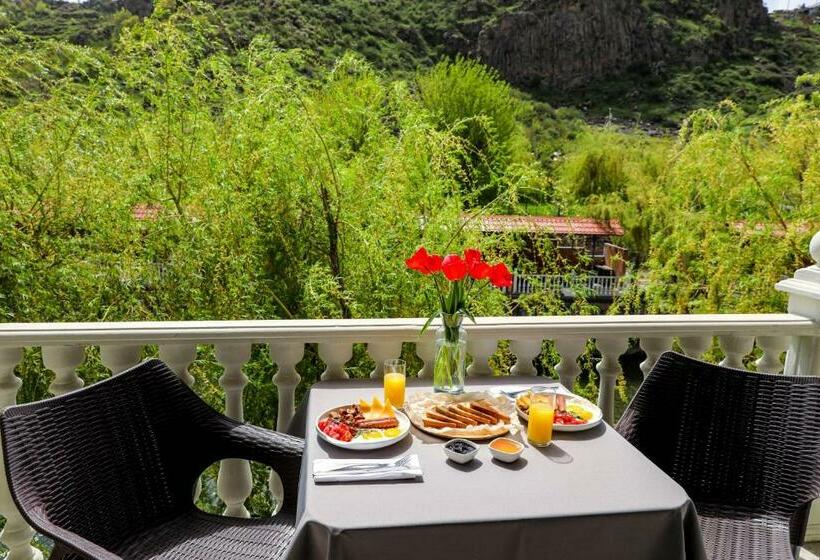 اتاق لوکس, Getap Resort Arzni