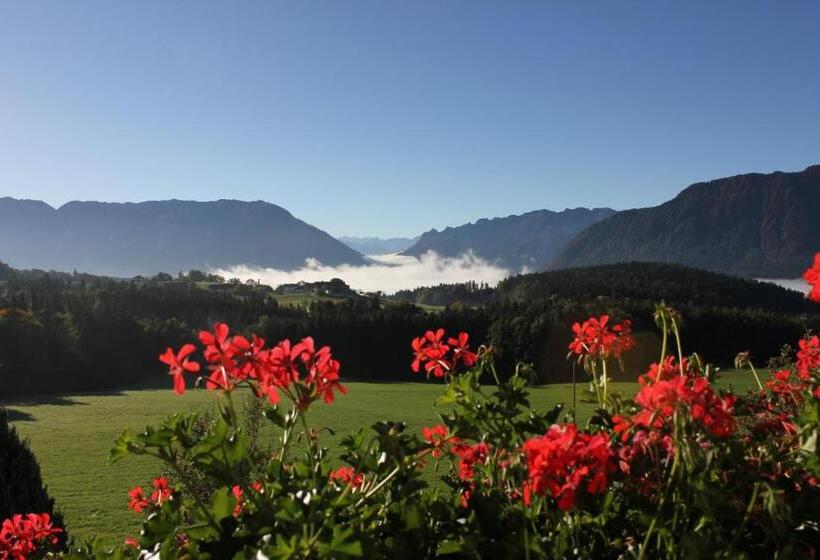 اتاق خانوادگی, Hainbuchhof