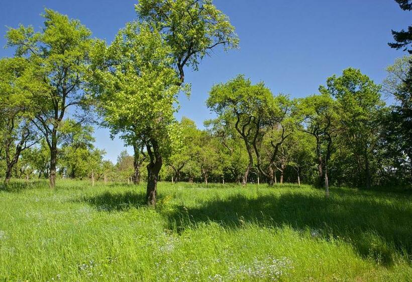 اتاق استاندارد با تخت بزرگ, Zámek Ratměřice   Hotel & Resort