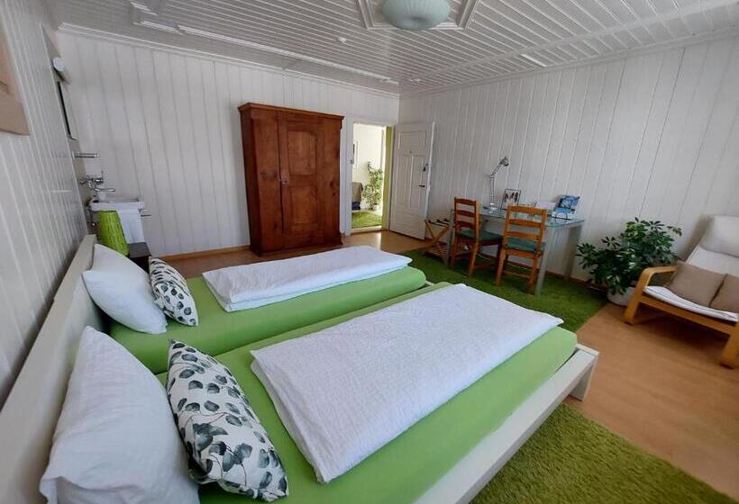 Habitació Estàndard Bany Compartit, B&b Gästehaus Rössli Schwellbrunn