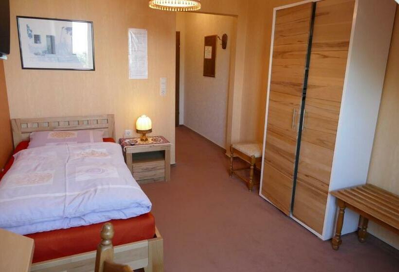 اتاق استاندارد یک نفره, Zenner S Land