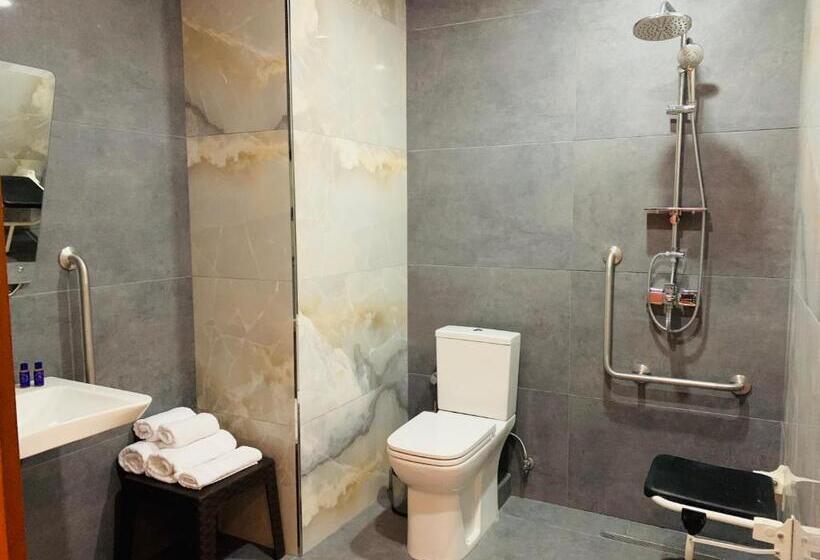 اتاق استاندارد برای معلولان, Neptun Palace Kvariati