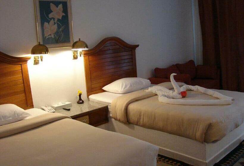اتاق استاندارد با چشم‌انداز باغ, Aladdin Beach Resort