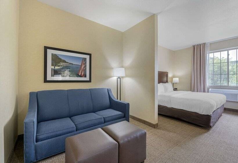 Suite Adaptée aux Personnes à Mobilité Réduite, Comfort Suites Lake Geneva East