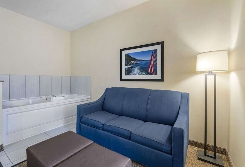 Suite Adapted for people with reduced mobility, Comfort Suites Lake Geneva East