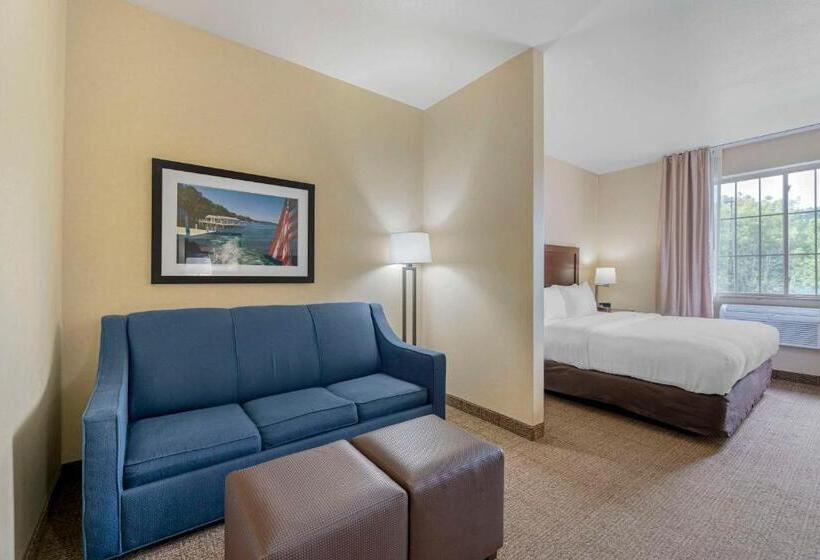 سوئیت با تخت بزرگ, Comfort Suites Lake Geneva East