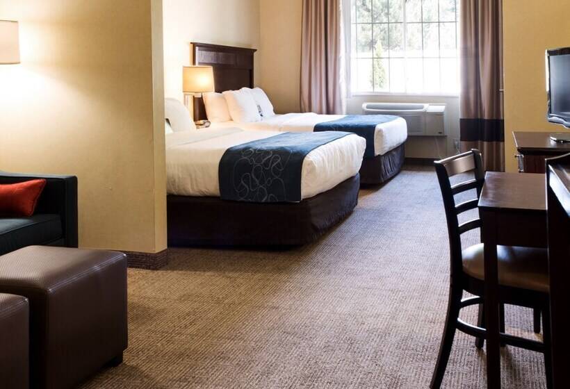 سوئیت برای معلولان, Comfort Suites Lake Geneva East