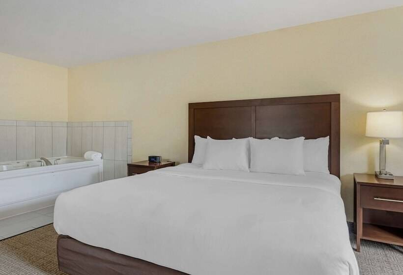 سوئیت برای معلولان, Comfort Suites Lake Geneva East