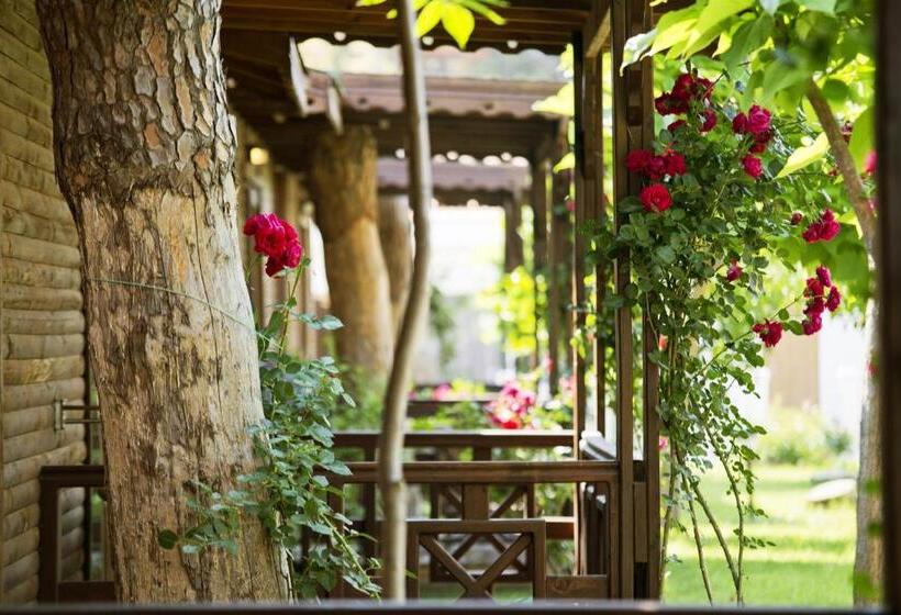 بانگلوی استاندارد, Flora Garden Beach Club   All Inclusive