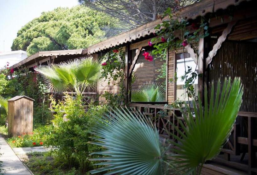 بانگلوی استاندارد, Flora Garden Beach Club   All Inclusive