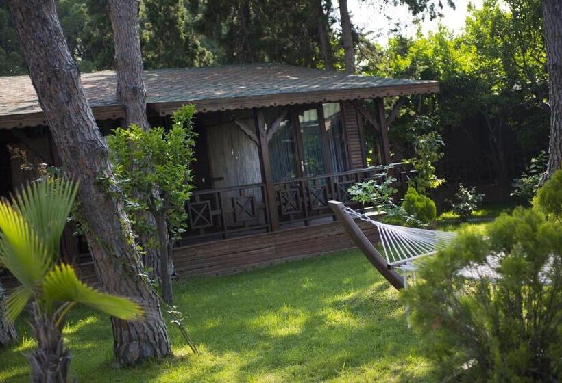 بانگلوی استاندارد, Flora Garden Beach Club   All Inclusive