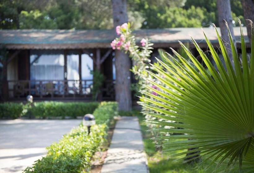 بانگلوی استاندارد, Flora Garden Beach Club   All Inclusive